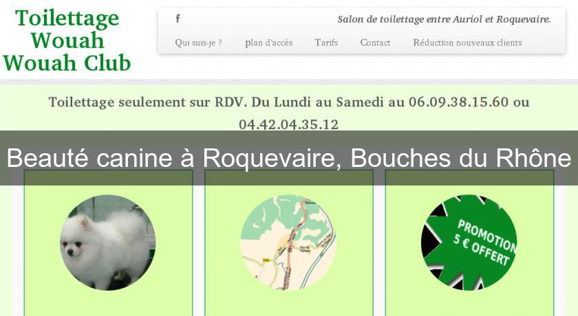 Beauté canine à Roquevaire, Bouches du Rhône Beauté canine à Roquevaire, Bouches du Rhône
