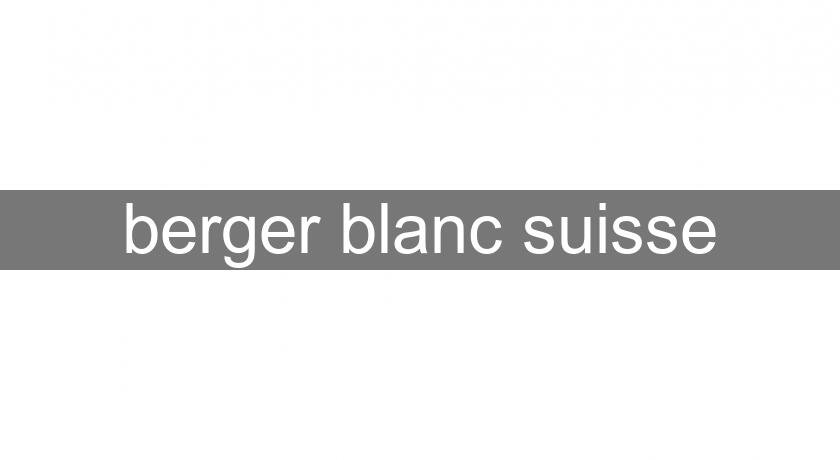 berger blanc suisse berger blanc suisse