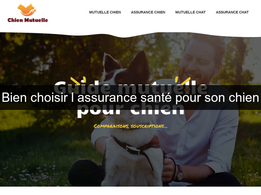 Bien choisir l'assurance santé pour son chien Bien choisir l'assurance santé pour son chien