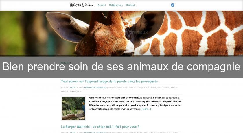 Bien prendre soin de ses animaux de compagnie Bien prendre soin de ses animaux de compagnie