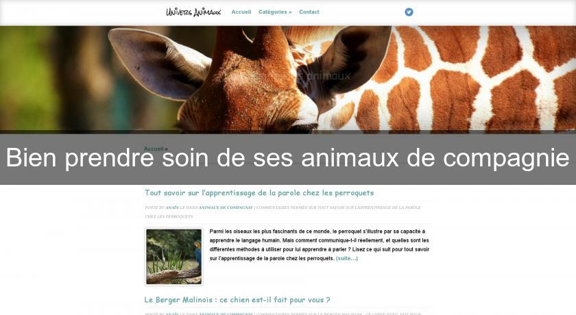 Bien prendre soin de ses animaux de compagnie