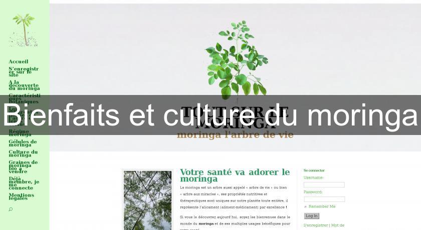 Bienfaits et culture du moringa Bienfaits et culture du moringa