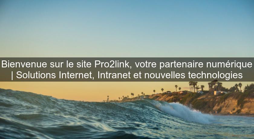 Bienvenue sur le site Pro2link, votre partenaire numérique | Solutions Internet, Intranet et nouvelles technologies