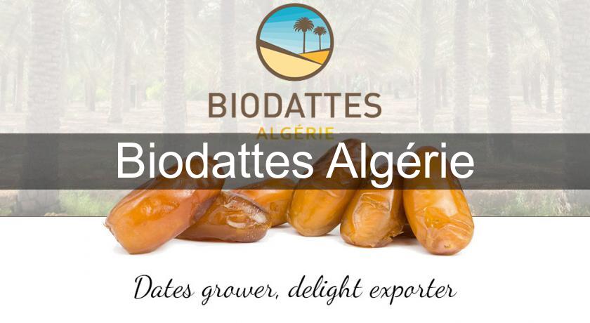Biodattes Algérie Biodattes Algérie