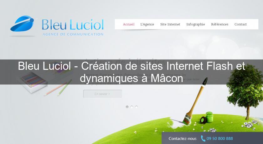 Bleu Luciol - Création de sites Internet Flash et dynamiques à Mâcon Bleu Luciol - Création de sites Internet Flash et dynamiques à Mâcon