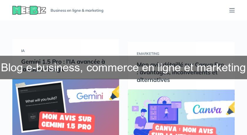 Blog e-business, commerce en ligne et marketing