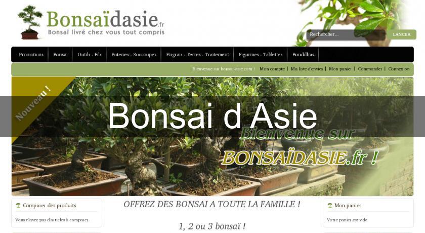 Bonsai d'Asie Bonsai d'Asie