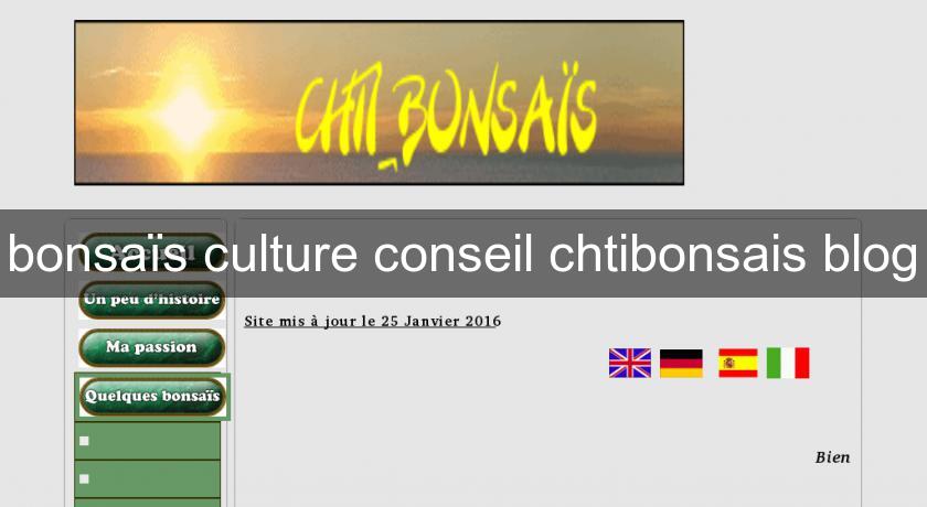 bonsaïs culture conseil chtibonsais blog
