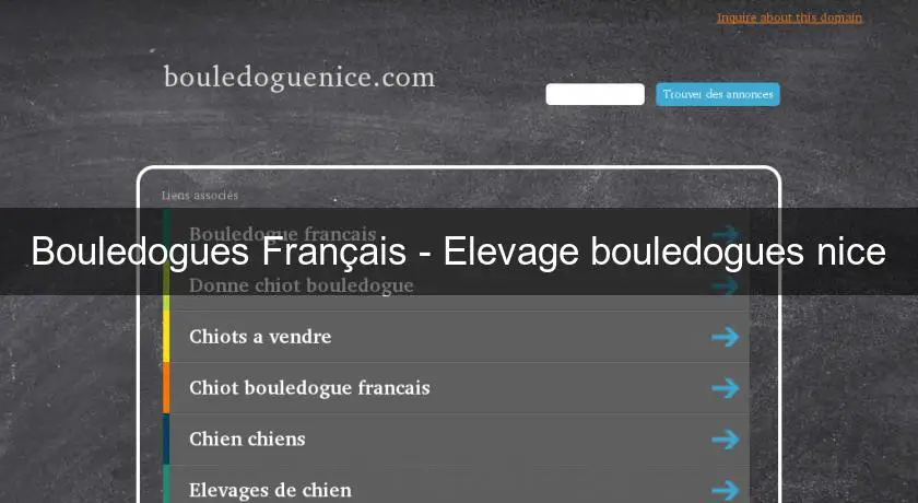 Bouledogues Français - Elevage bouledogues nice