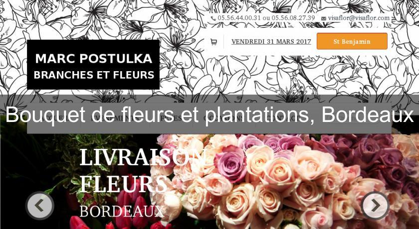 Bouquet de fleurs et plantations, Bordeaux Bouquet de fleurs et plantations, Bordeaux