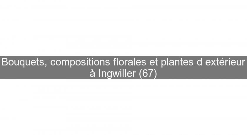 Bouquets, compositions florales et plantes d'extérieur à Ingwiller (67) Bouquets, compositions florales et plantes d'extérieur à Ingwiller (67)