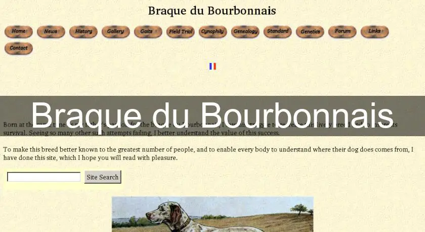 Braque du Bourbonnais