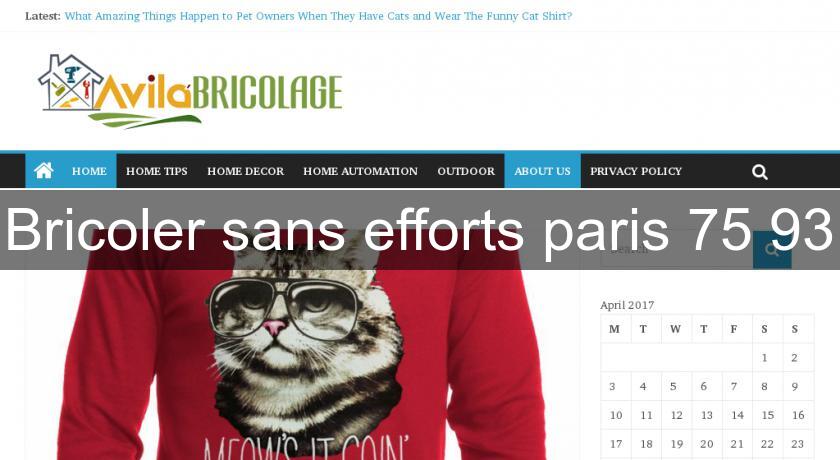Bricoler sans efforts paris 75 93 Bricoler sans efforts paris 75 93