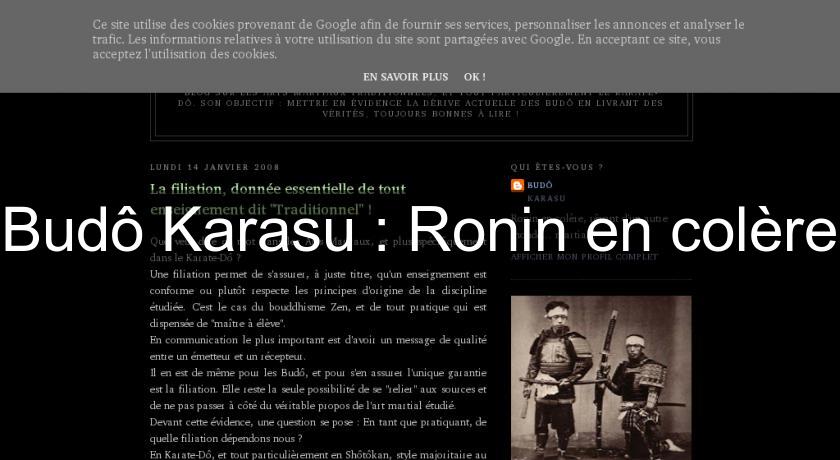 Budô Karasu : Ronin en colère