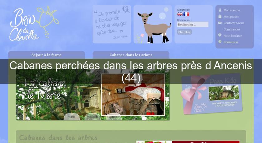 Cabanes perchées dans les arbres près d'Ancenis (44) Cabanes perchées dans les arbres près d'Ancenis (44)
