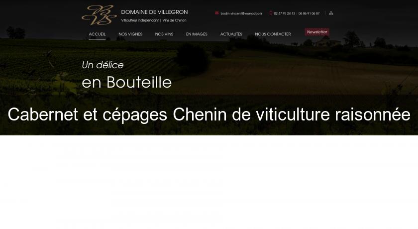 Cabernet et cépages Chenin de viticulture raisonnée