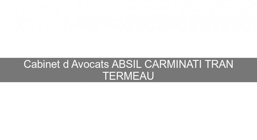 Cabinet d'Avocats ABSIL CARMINATI TRAN TERMEAU