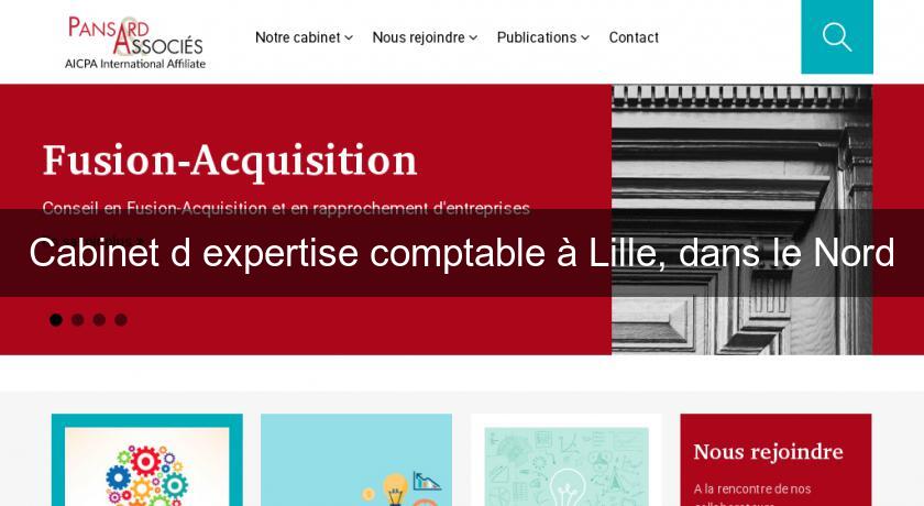 Cabinet d'expertise comptable à Lille, dans le Nord Cabinet d'expertise comptable à Lille, dans le Nord