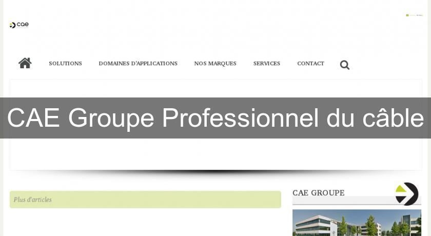 CAE Groupe Professionnel du câble CAE Groupe Professionnel du câble