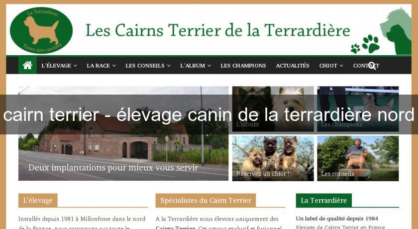 cairn terrier - élevage canin de la terrardière nord cairn terrier - élevage canin de la terrardière nord