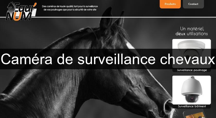 Caméra de surveillance chevaux Caméra de surveillance chevaux