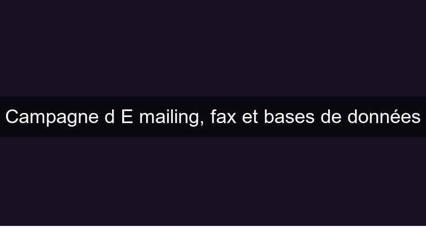 Campagne d'E mailing, fax et bases de données Campagne d'E mailing, fax et bases de données