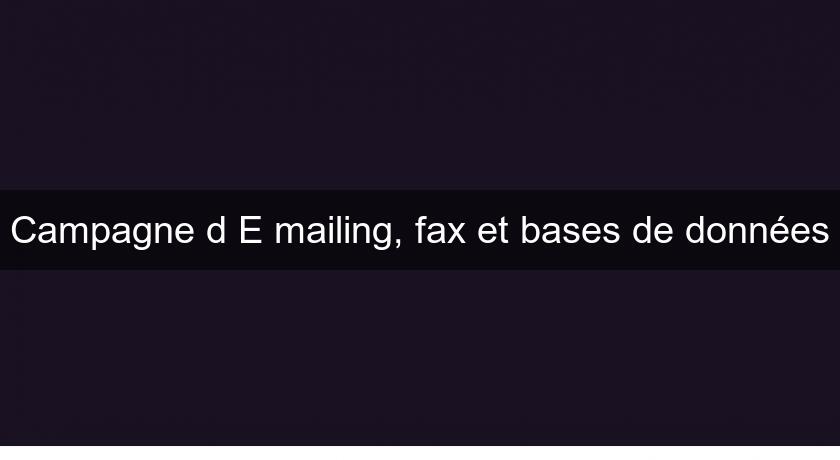 Campagne d'E mailing, fax et bases de données