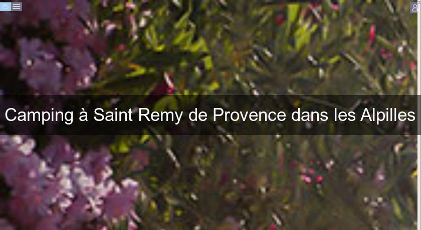 Camping à Saint Remy de Provence dans les Alpilles