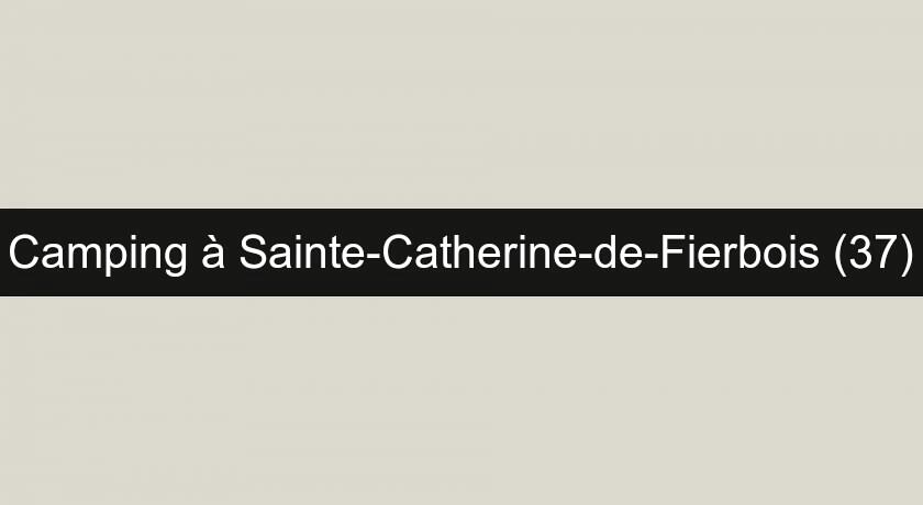 Camping à Sainte-Catherine-de-Fierbois (37)