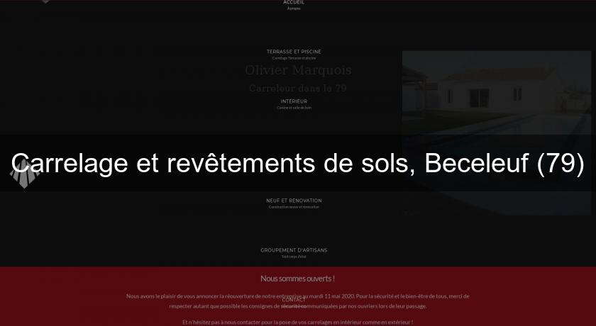 Carrelage et revêtements de sols, Beceleuf (79) Carrelage et revêtements de sols, Beceleuf (79)
