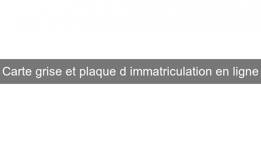 Carte grise et plaque d'immatriculation en ligne Carte grise et plaque d'immatriculation en ligne