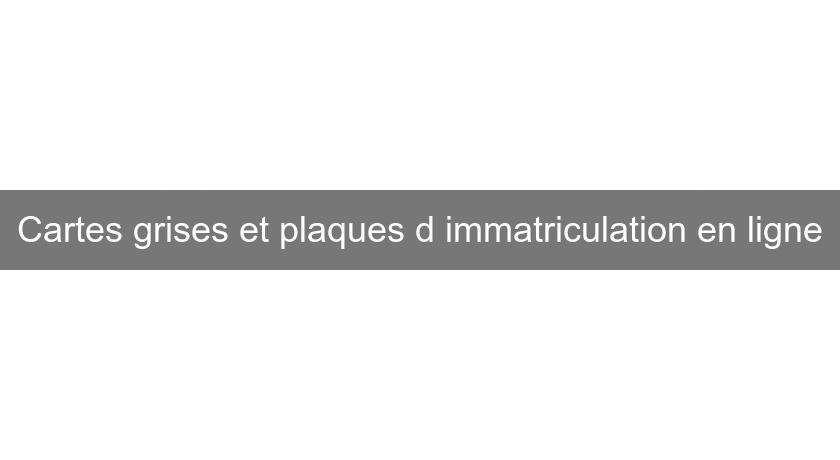 Cartes grises et plaques d'immatriculation en ligne Cartes grises et plaques d'immatriculation en ligne