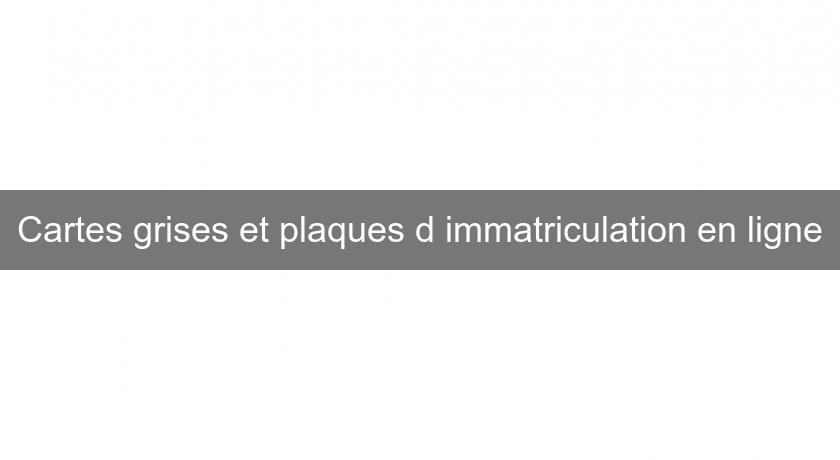 Cartes grises et plaques d'immatriculation en ligne