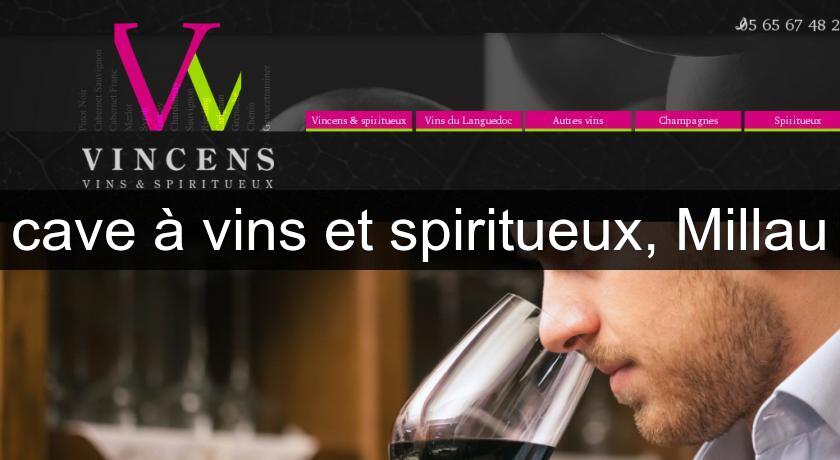 cave à vins et spiritueux, Millau cave à vins et spiritueux, Millau
