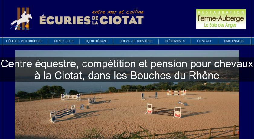 Centre équestre, compétition et pension pour chevaux à la Ciotat, dans les Bouches du Rhône