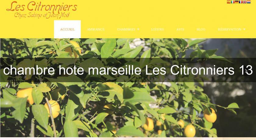 chambre hote marseille Les Citronniers 13 chambre hote marseille Les Citronniers 13