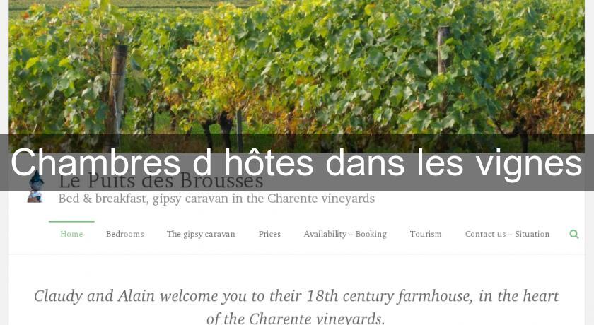 Chambres d'hôtes dans les vignes