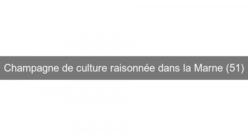 Champagne de culture raisonnée dans la Marne (51) Champagne de culture raisonnée dans la Marne (51)