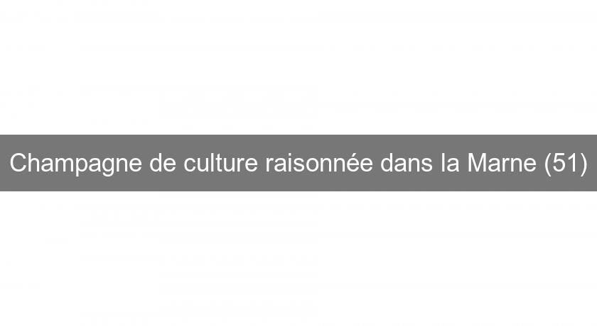 Champagne de culture raisonnée dans la Marne (51)