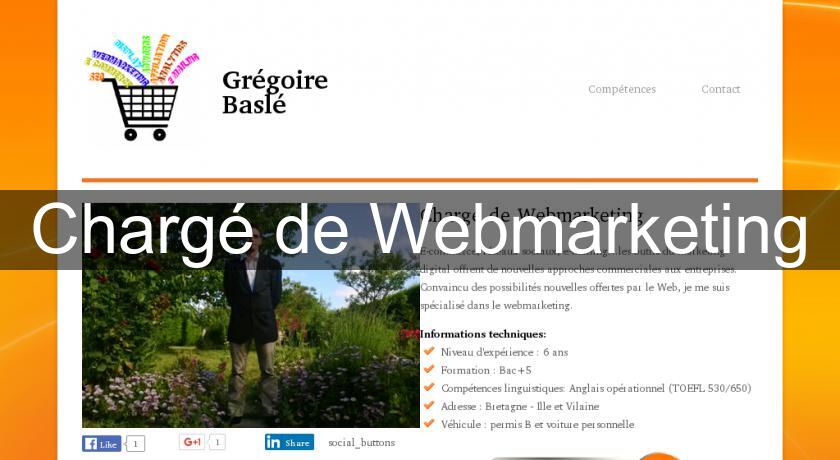 Chargé de Webmarketing Chargé de Webmarketing