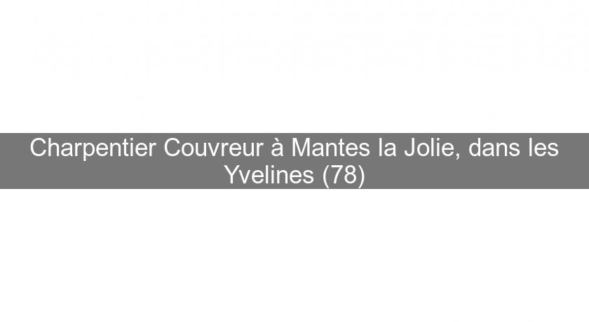 Charpentier Couvreur à Mantes la Jolie, dans les Yvelines (78) Charpentier Couvreur à Mantes la Jolie, dans les Yvelines (78)