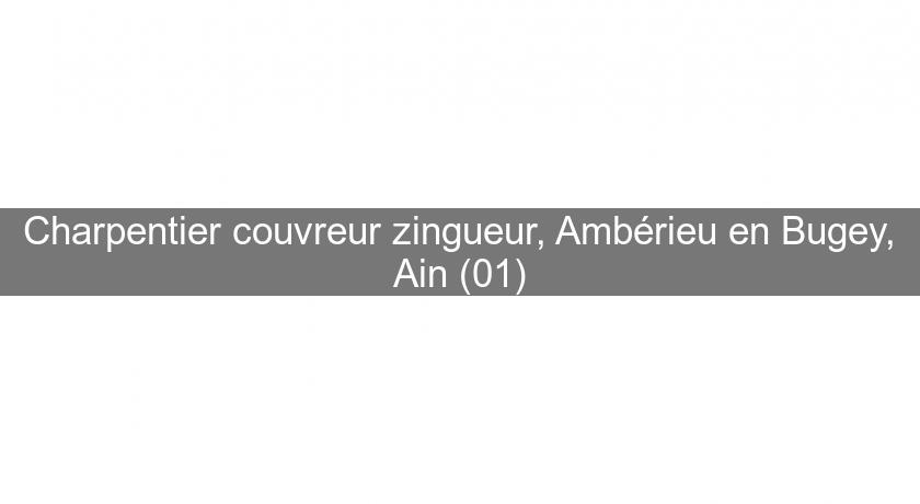 Charpentier couvreur zingueur, Ambérieu en Bugey, Ain (01)