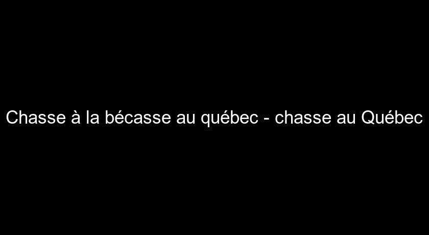 Chasse à la bécasse au québec - chasse au Québec Chasse à la bécasse au québec - chasse au Québec