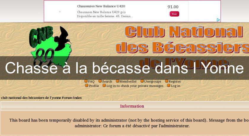 Chasse à la bécasse dans l'Yonne Chasse à la bécasse dans l'Yonne
