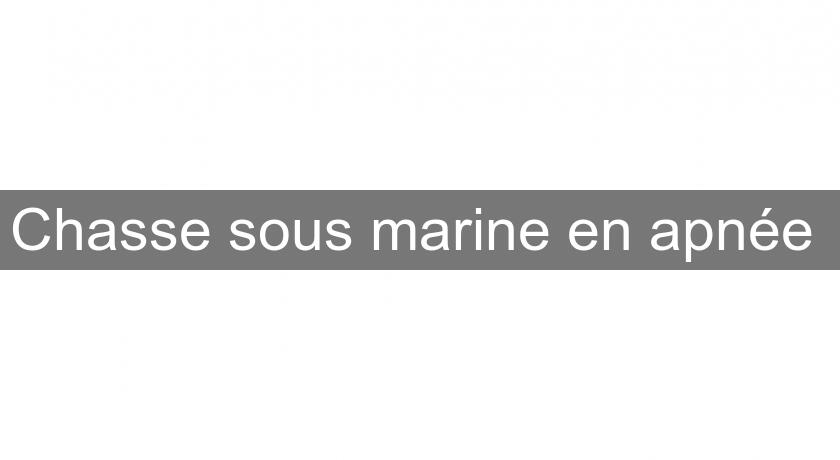 Chasse sous marine en apnée Chasse sous marine en apnée