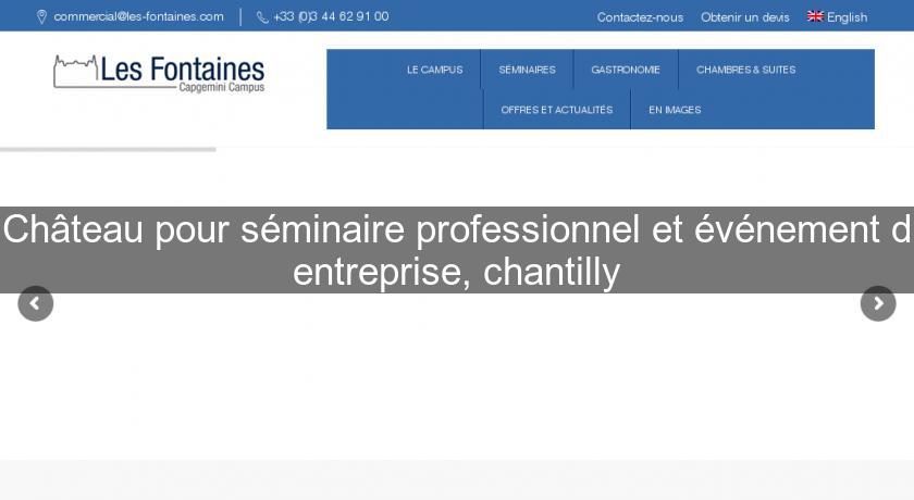 Château pour séminaire professionnel et événement d'entreprise, chantilly Château pour séminaire professionnel et événement d'entreprise, chantilly