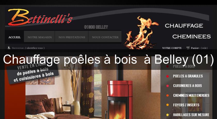 Chauffage poêles à bois à Belley (01) Chauffage poêles à bois à Belley (01)