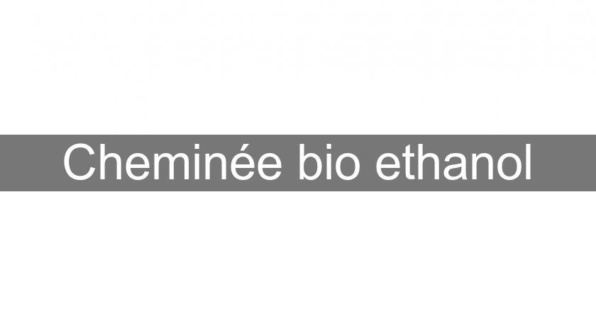 Cheminée bio ethanol