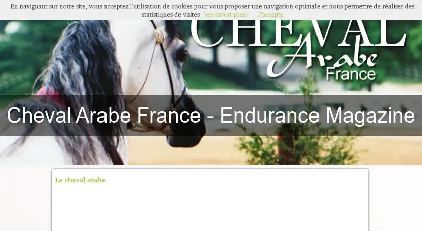 Cheval Arabe France - Endurance Magazine