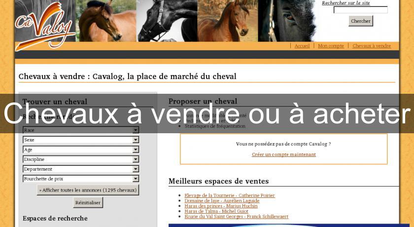 Chevaux à vendre ou à acheter Chevaux à vendre ou à acheter